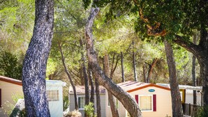 A row of mobile homes with a natural, wooded backdrop. - Vacances passion - Village La Bayette (Le Pradet)
