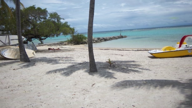 Una playa con un bote amarillo, palmeras y una vista despejada del océano.