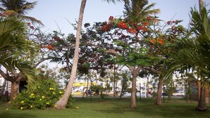 Un parque con palmeras y plantas en flor.