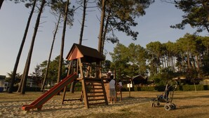 Un parque infantil con tobogán y estructura para escalar, rodeado de altos árboles.