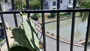 A cactus plant in a balcony railing with a view of a street, a canal, and buildings in the background. - Maison du Canal (Villeneuve-les-Beziers)