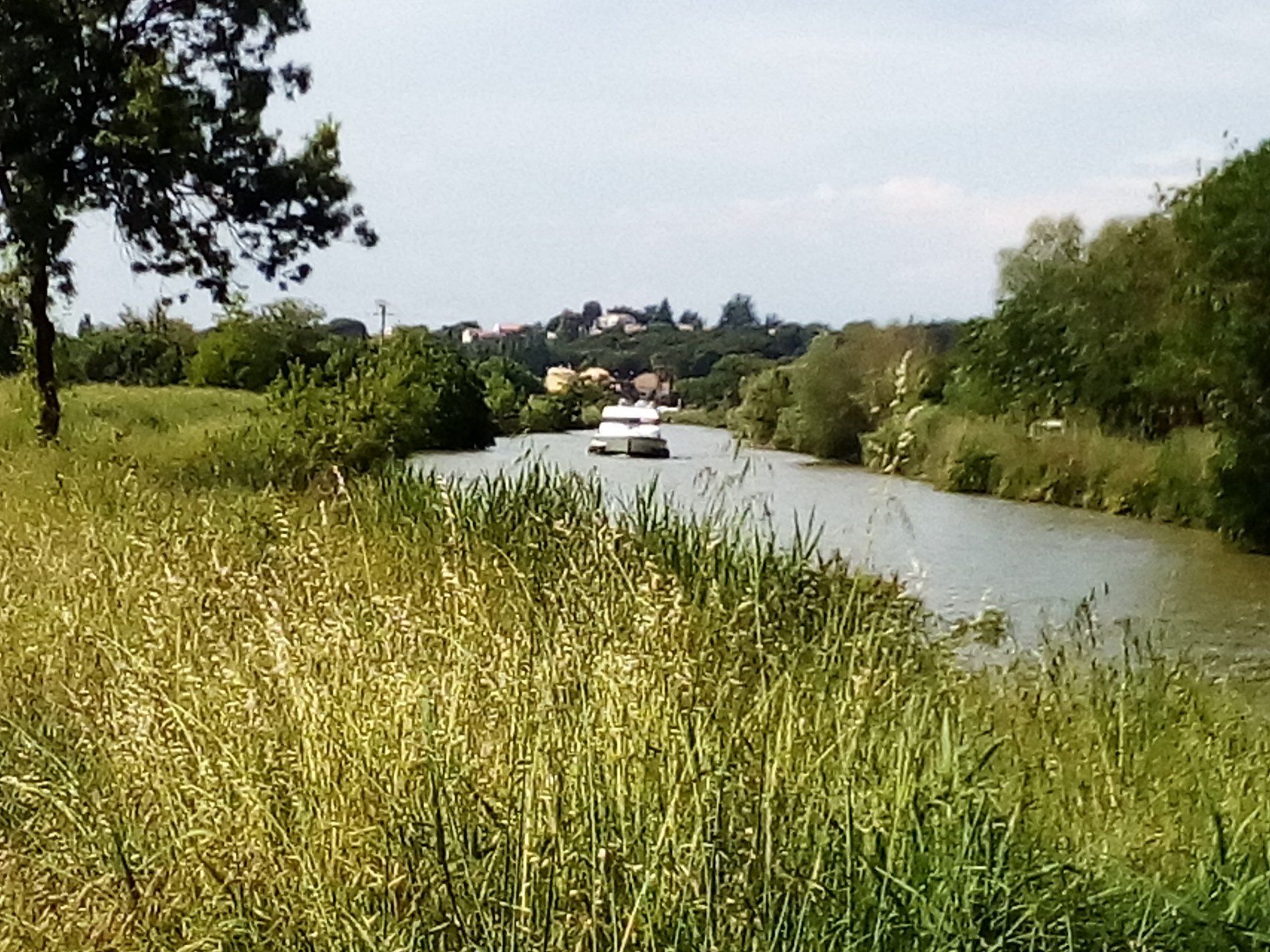 Un río con un barco a lo lejos, rodeado de follaje y árboles.