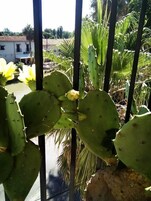 Triple Room (Rose) | Exterior detail