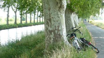 Un sendero bordeado de árboles con una bicicleta apoyada en uno de ellos.