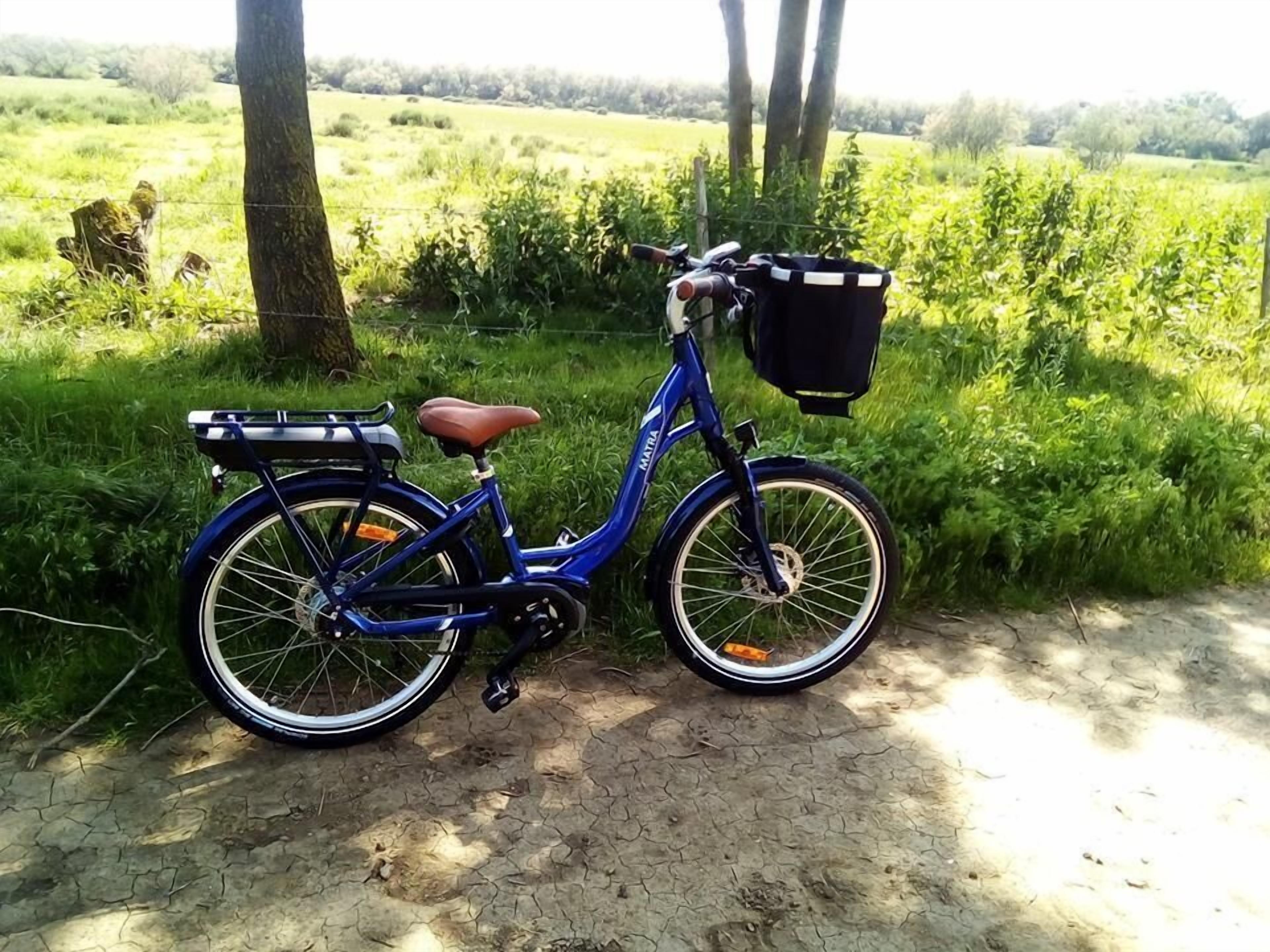 A blue bicycle with a basket and a seat, parked on a paved path with grass and trees in the background.