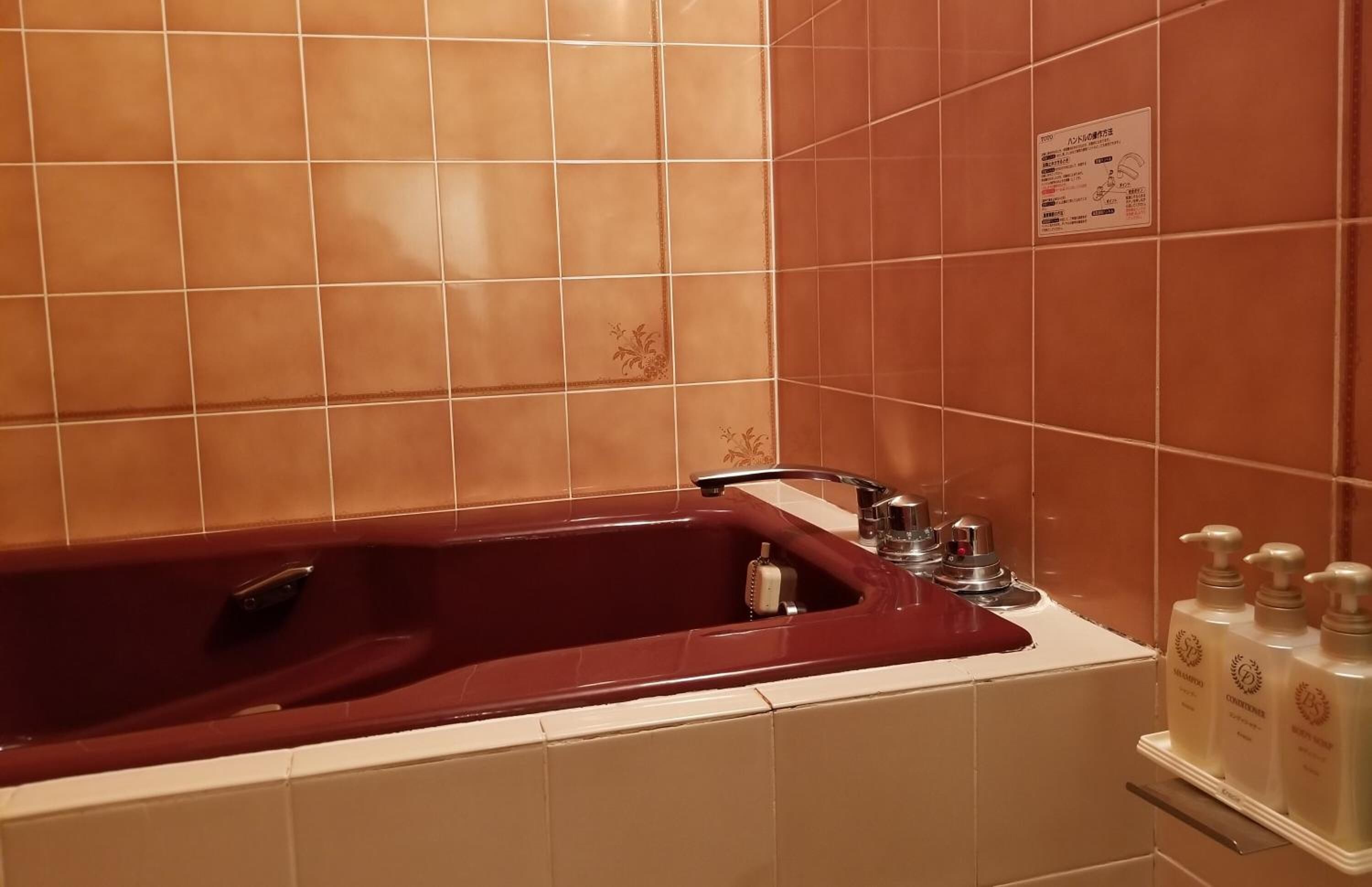 combined shower/bathtub, hair dryer, bathrobes, slippers