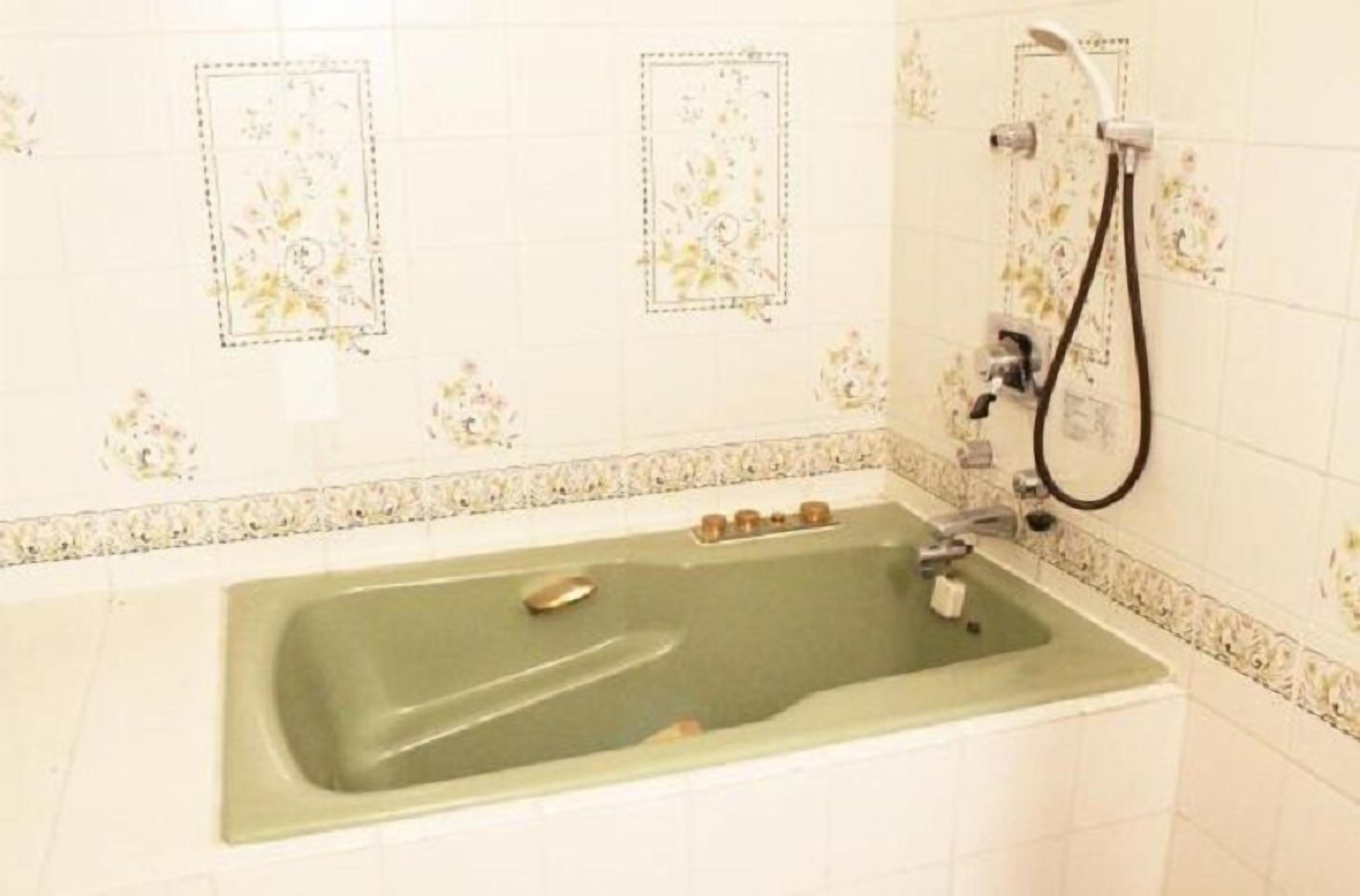 combined shower/bathtub, hair dryer, bathrobes, slippers