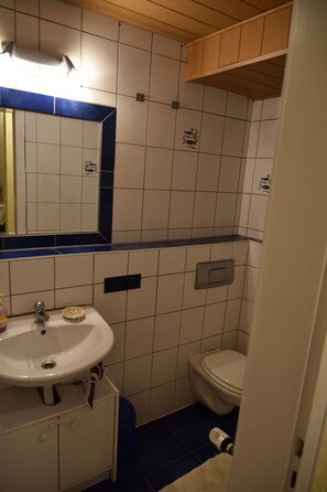 Apartemen | Kamar mandi | Shower, pengering rambut,  dan handuk