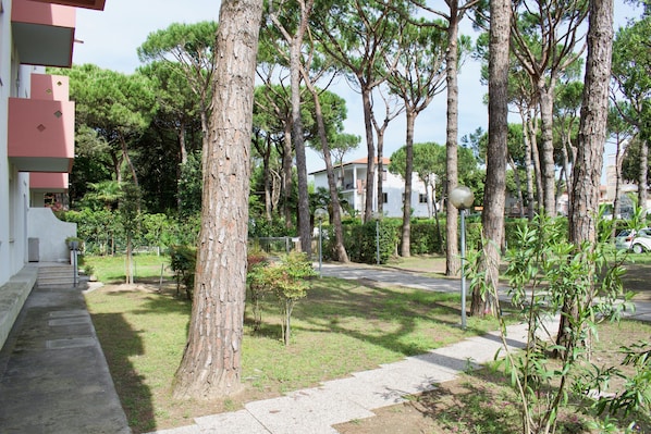 Garden view