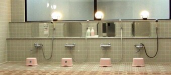 Mizusawa Suimeiso Iwate