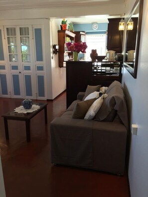 TV, DVD player, table tennis, books