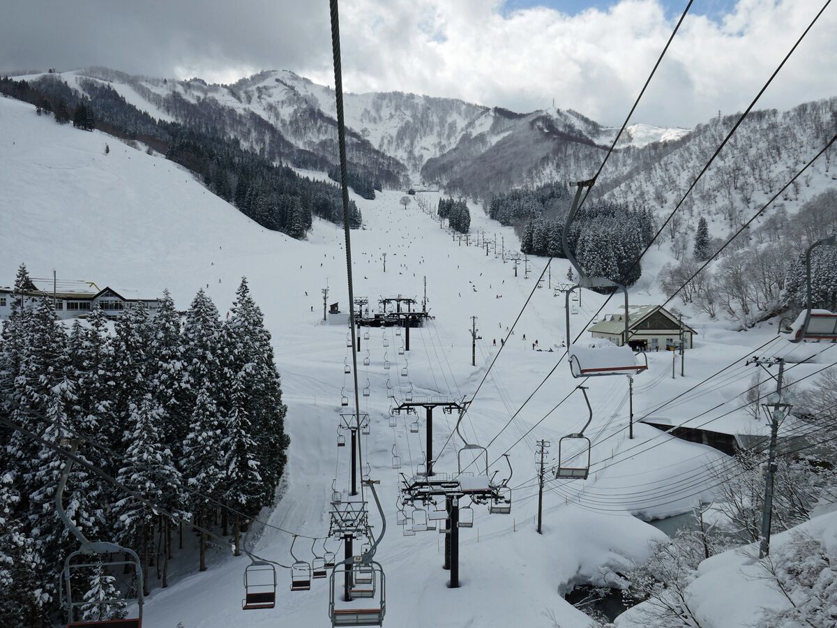 Sukan salji dan ski