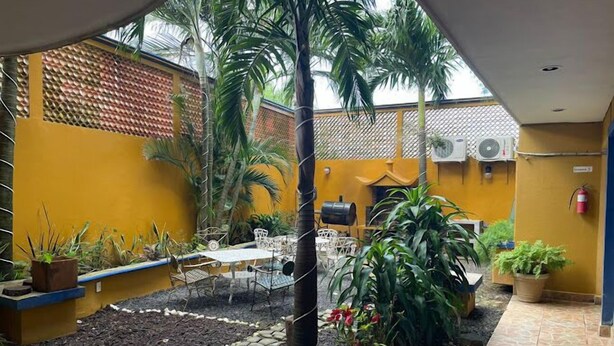 Une cour avec un espace repas, des plantes en pot et un mur jaune.