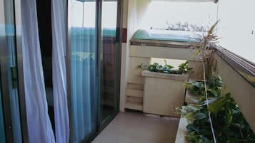 Habitació estàndard, diversos llits | Terrassa o pati