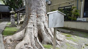 外観の詳細