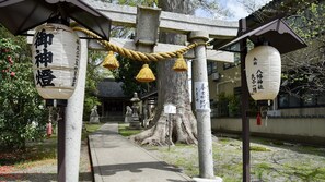A traditional Japanese shrine with stone torii gates, a pathway, and hanging lanterns.