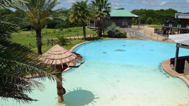 Una piscina con una palmera y una estructura de techo de paja, rodeada de follaje y un edificio con techo verde.
