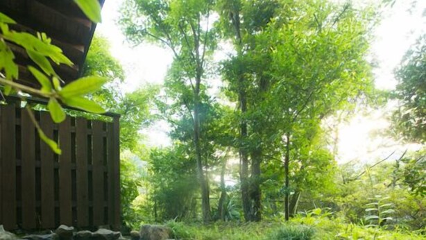 A natural setting with a small pond, surrounded by rocks and greenery. - Hosenji Onsen Ryusenkaku (Kokonoe)