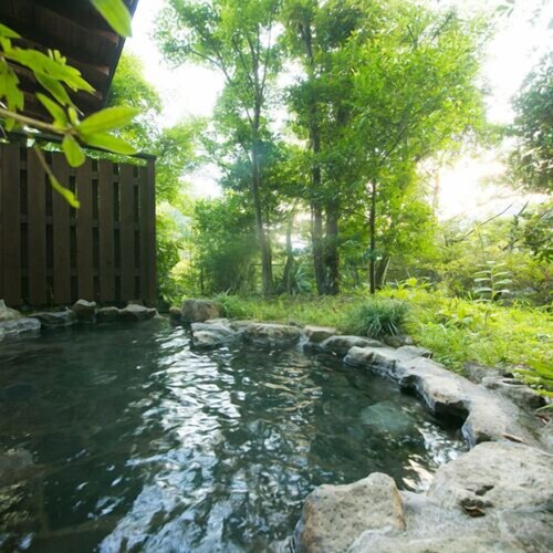 Hosenji Onsen Ryusenkaku