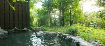 Hosenji Onsen Ryusenkaku
