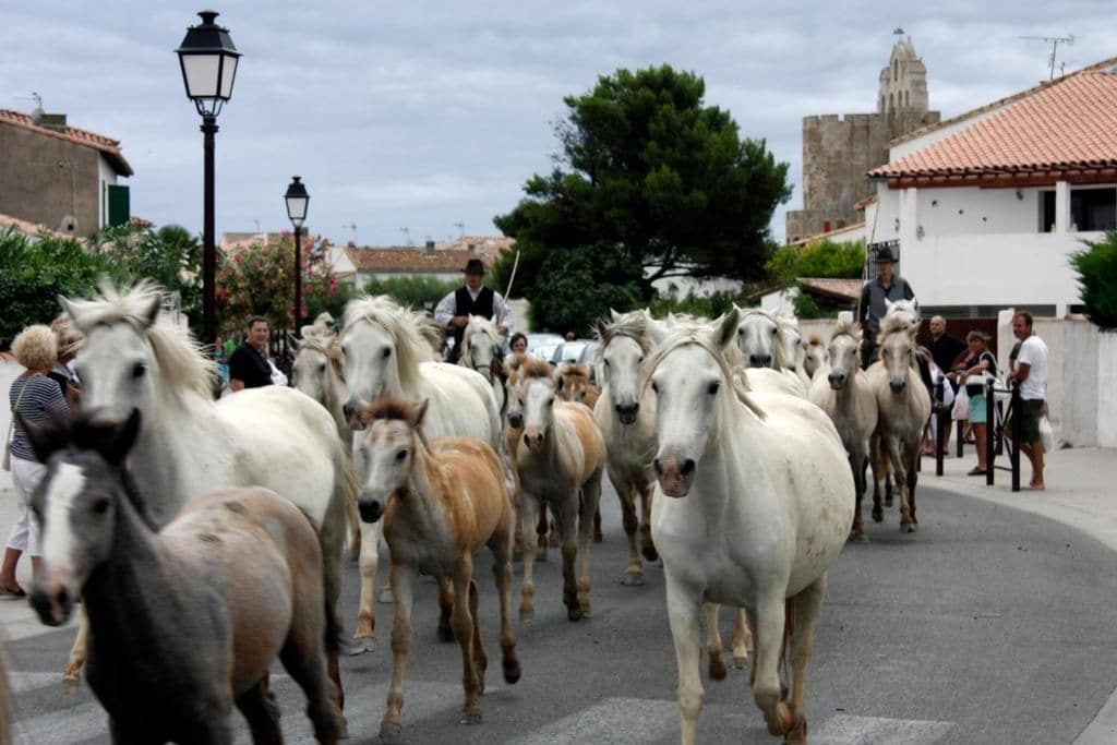 A street scene with a large group of horses and people.