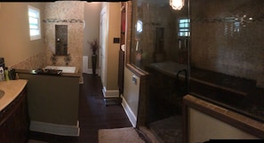 Separate bathtub and shower, jetted bath, rainfall showerhead