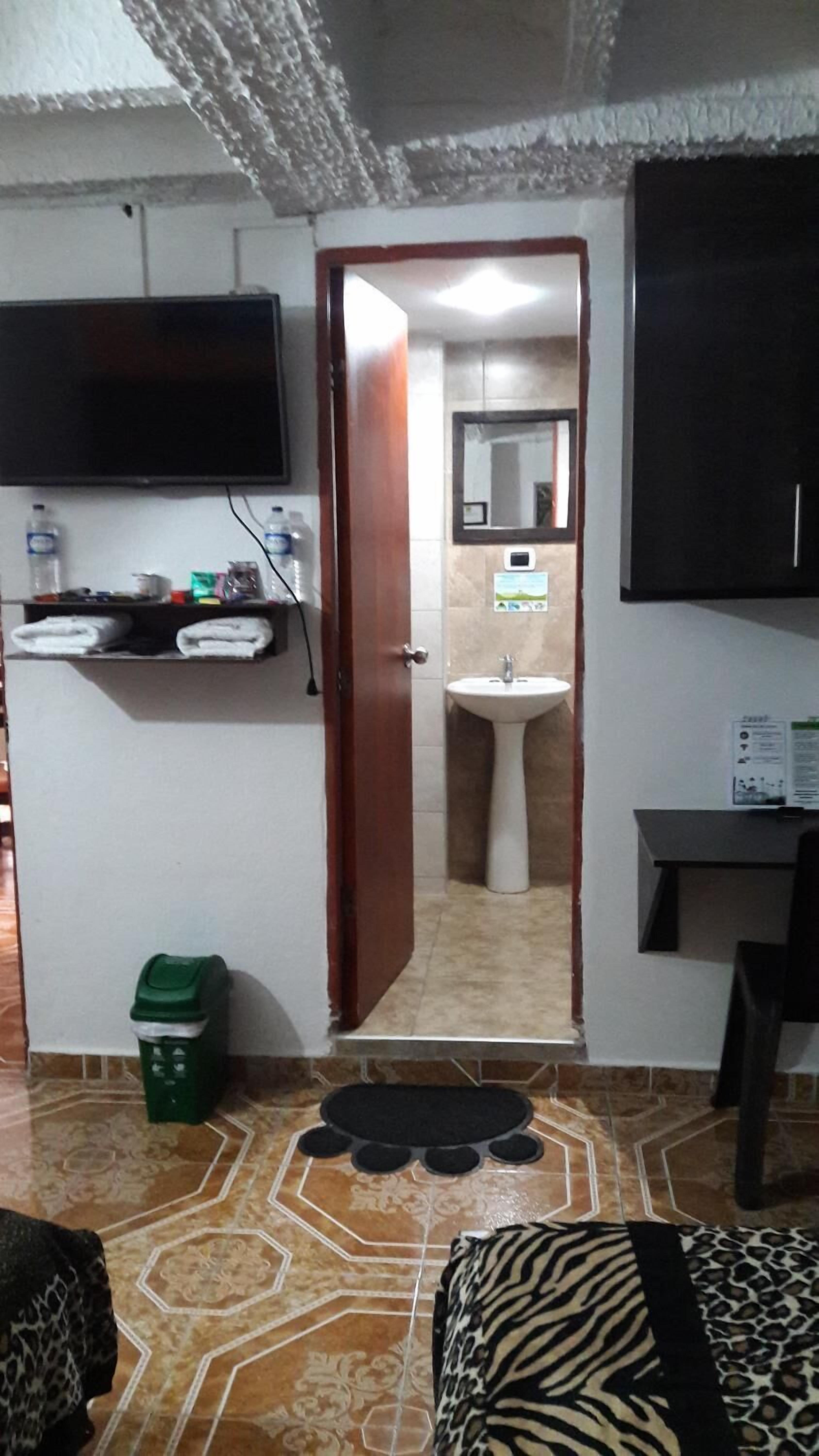 A room with a television mounted on the wall, a sink, a mirror, and a door leading to another room. There is a green trash bin and a patterned rug on the floor.