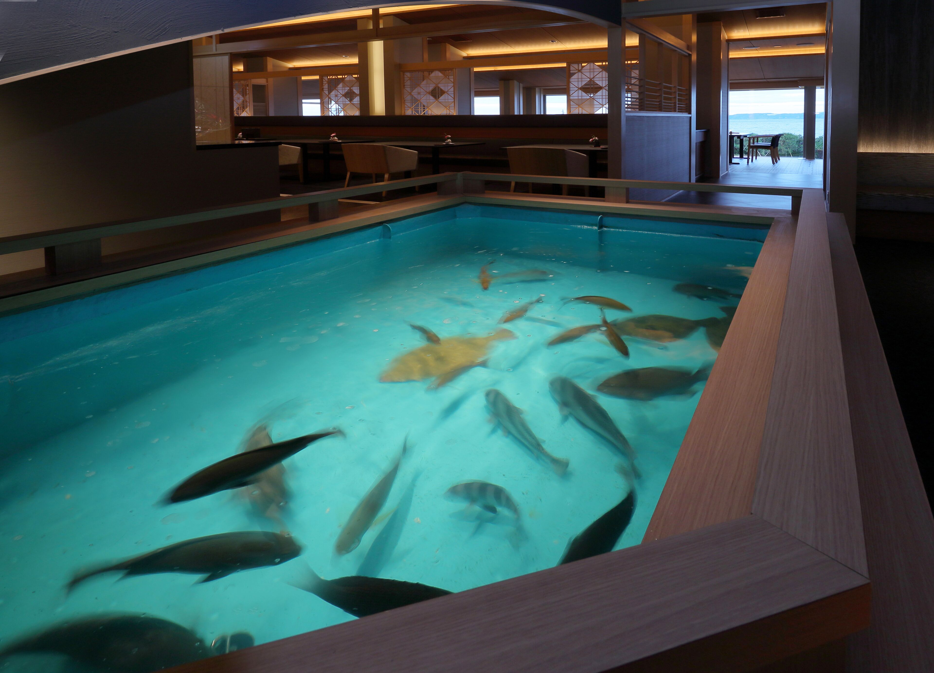 An indoor swimming pool with clear water and several fish.