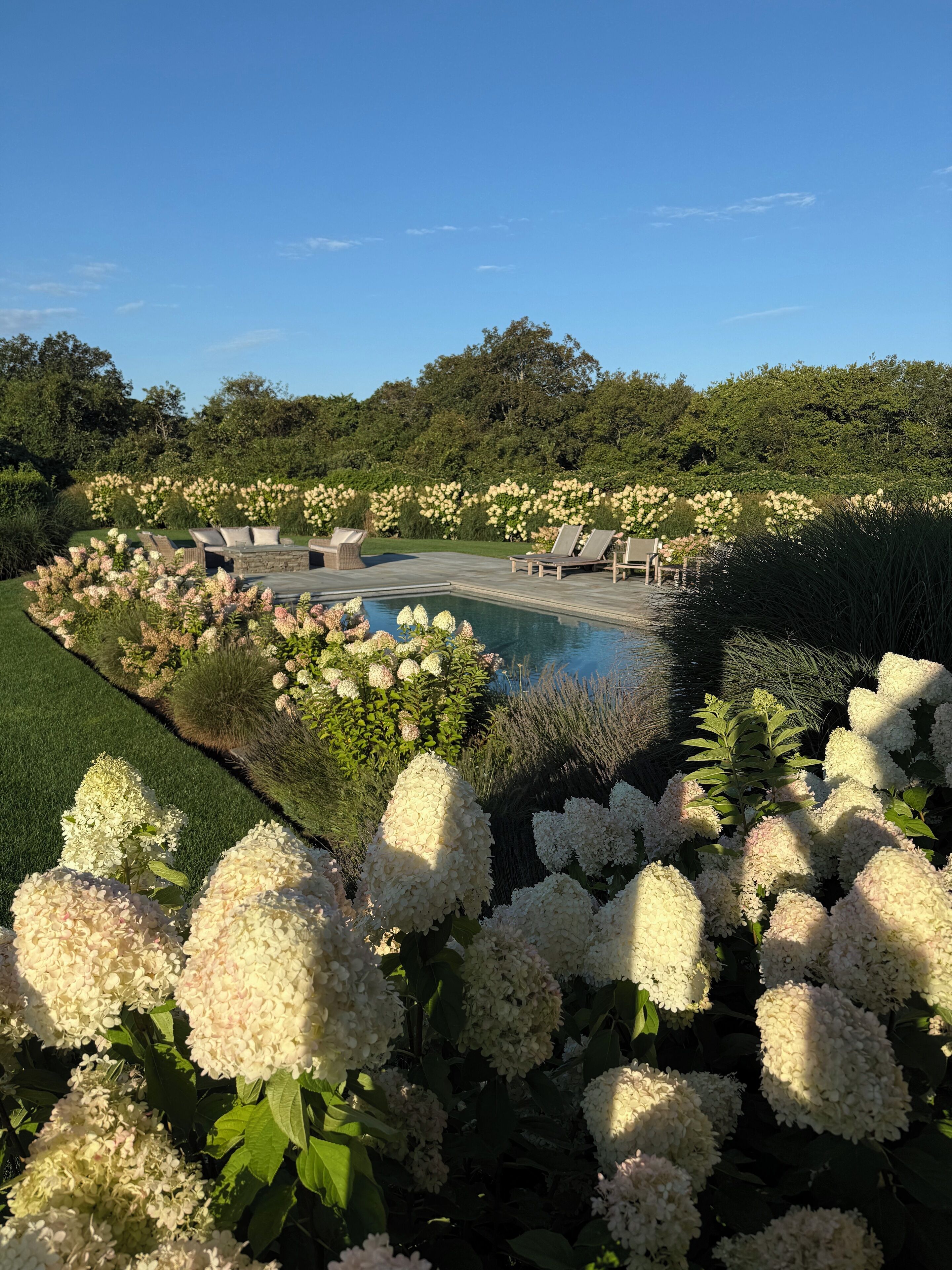 Alberca al aire libre 