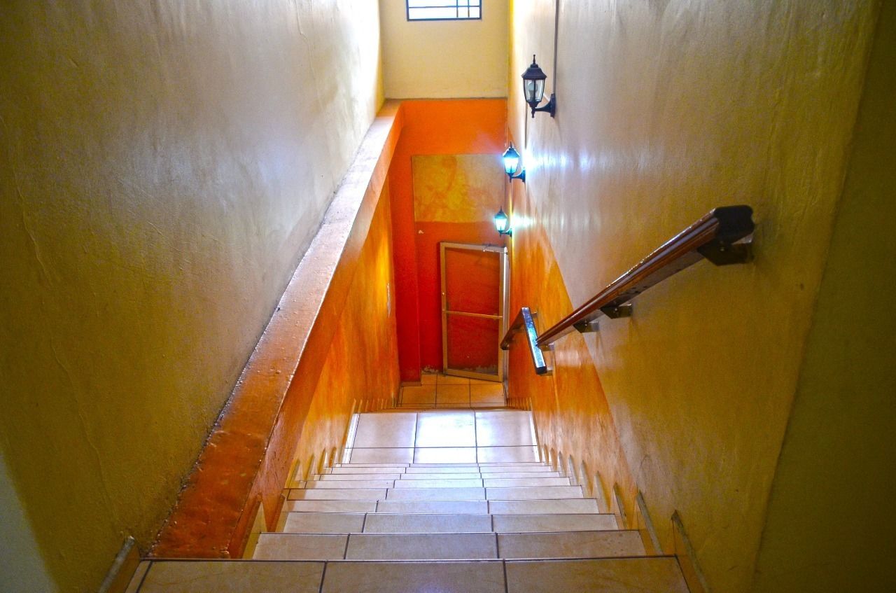 Foto - Hotel Plaza Palmero