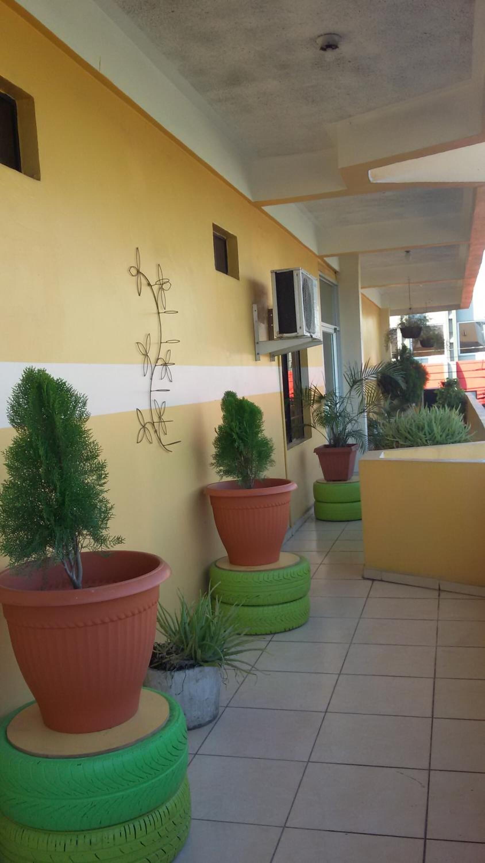 Foto - Hotel Plaza Palmero