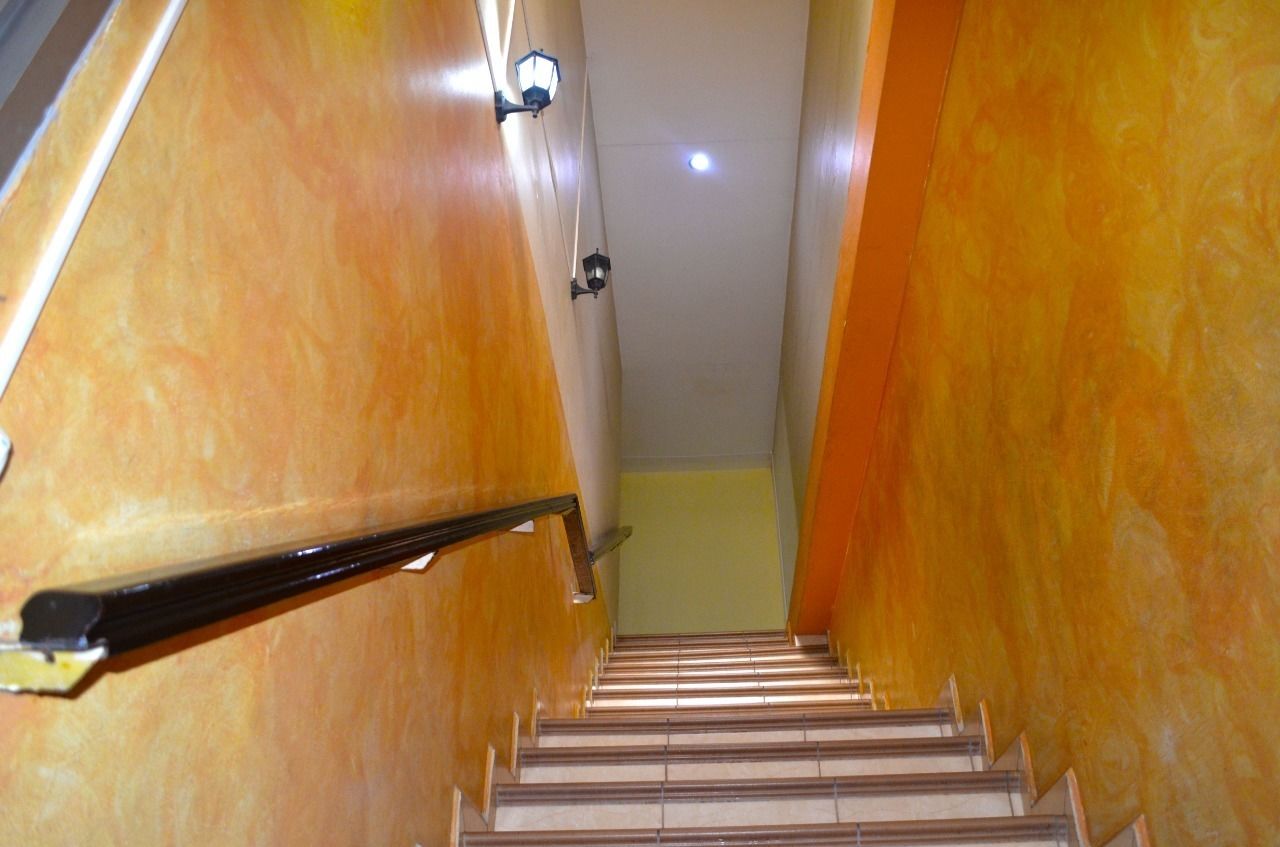 Foto - Hotel Plaza Palmero