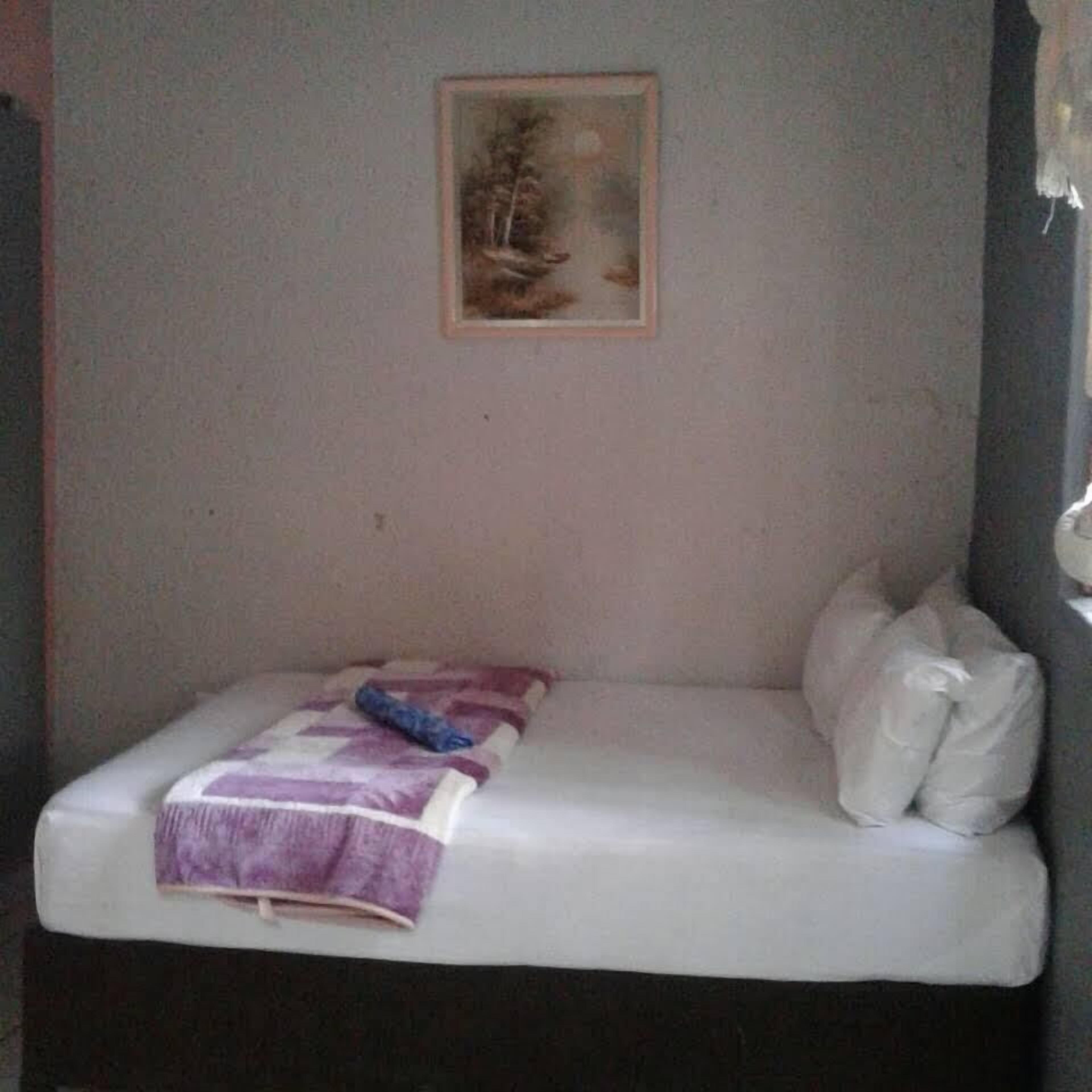 Una camera piccola con un letto singolo, una parete spoglia e un quadro incorniciato sopra il letto.