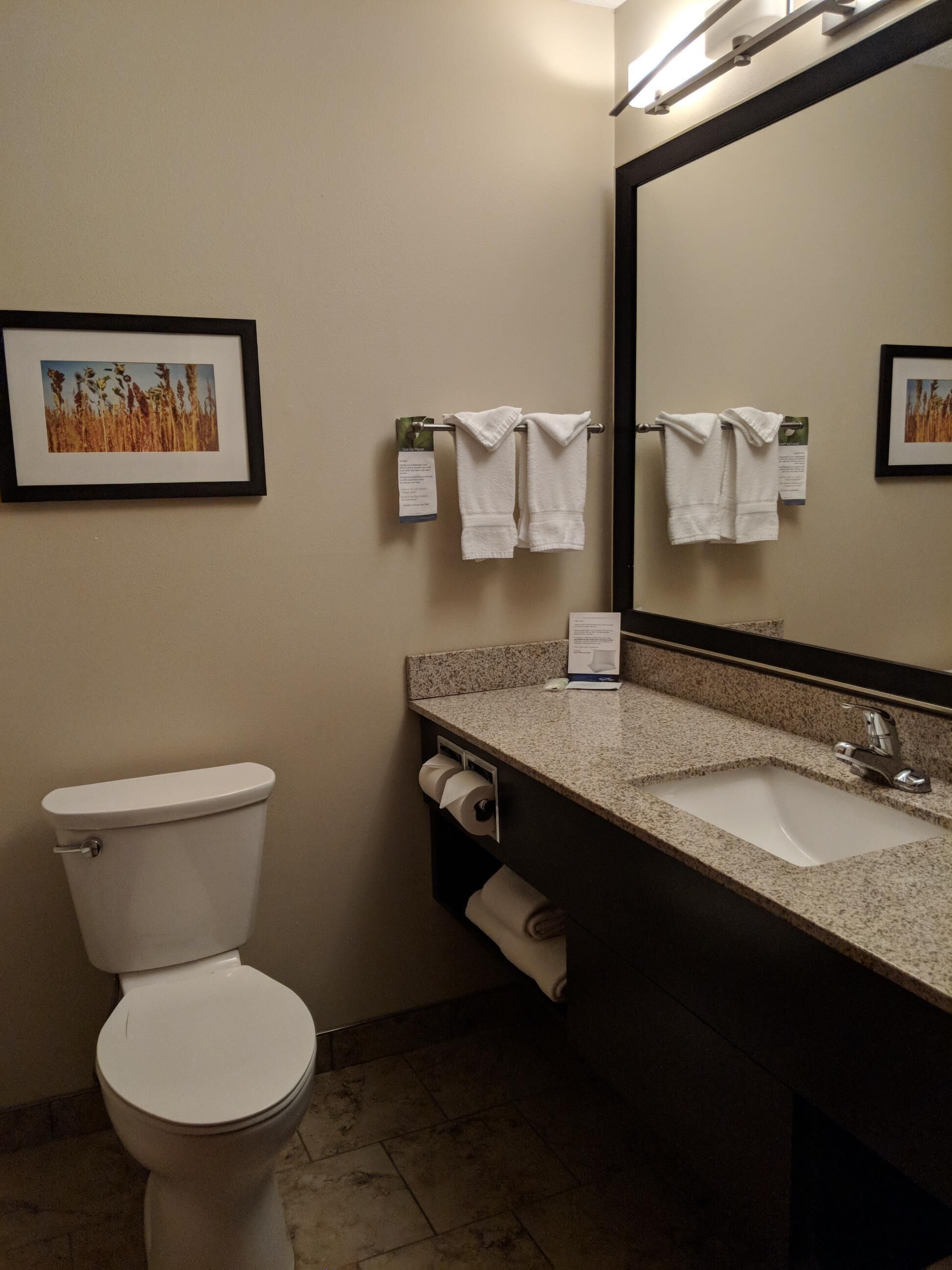 A bathroom with a toilet, sink, and mirror. There are towels hanging on a rack and a framed picture on the wall.