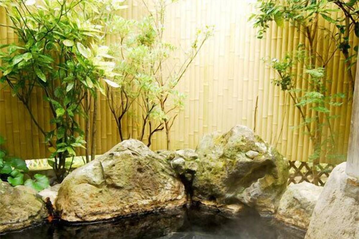 Zona de aguas termales con rocas y bambú.