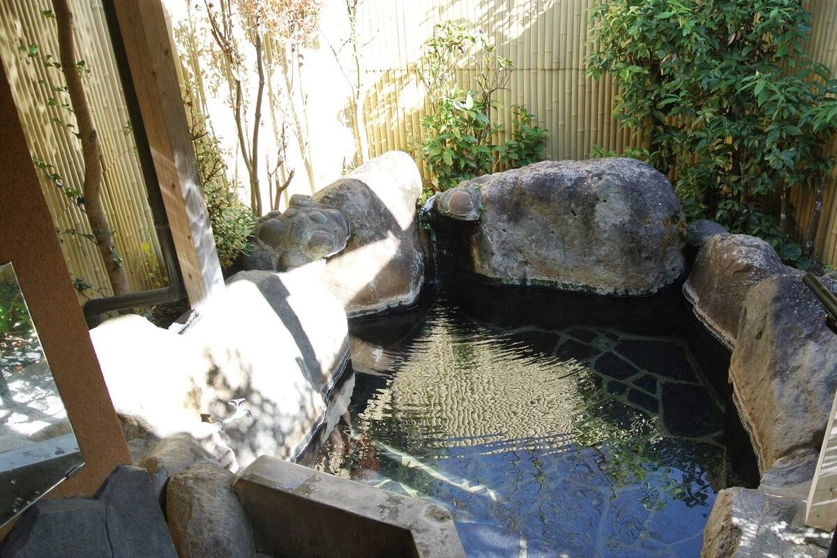 Un pequeño estanque con rocas y una estructura de madera.