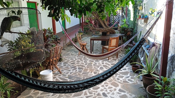 Una hamaca en un patio con suelo de baldosas, rodeada de macetas con plantas y una silla de madera.