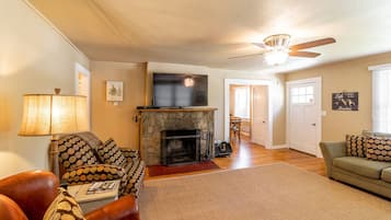 TV, fireplace, books