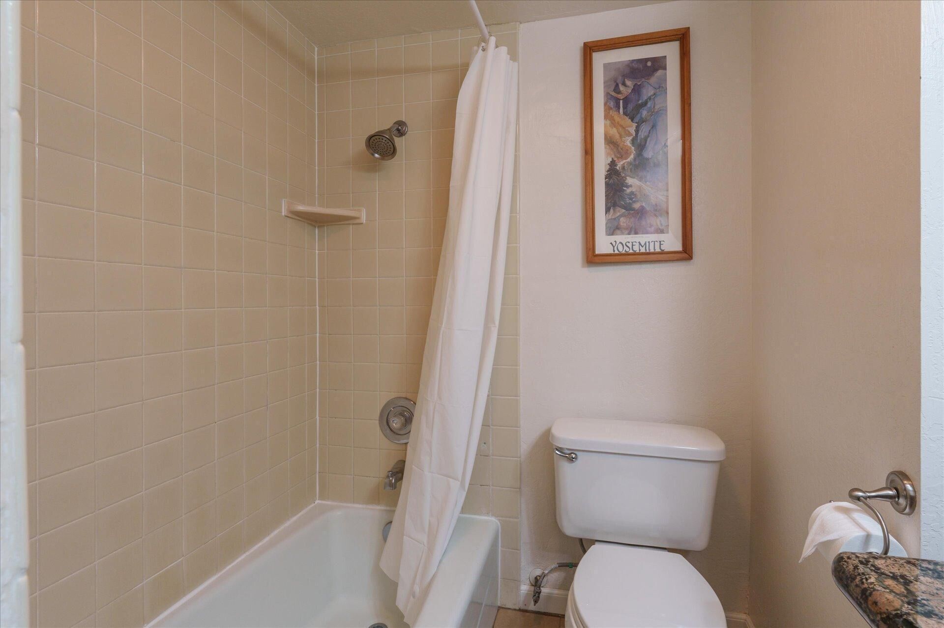 Een badkamer met een badkuip, toilet, douche en een inlijsting foto aan de muur.