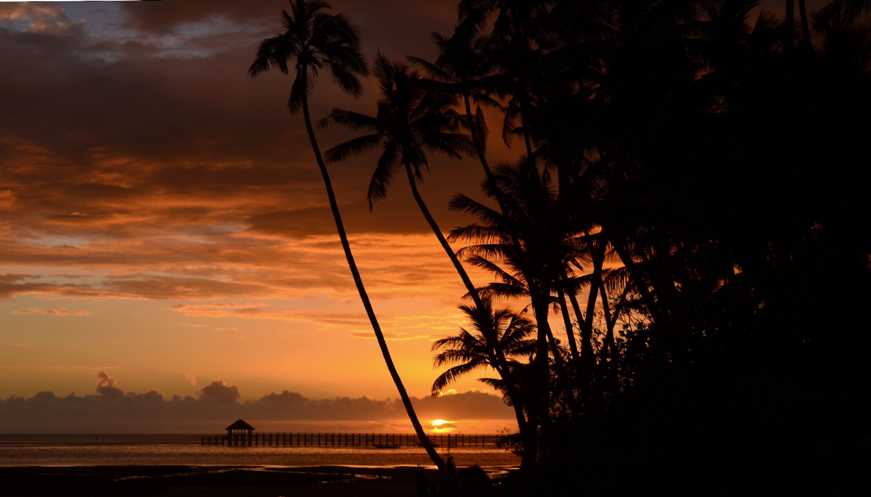 A sunset over a beach with palm trees and a pier.