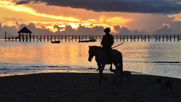 Nära stranden och strandhanddukar