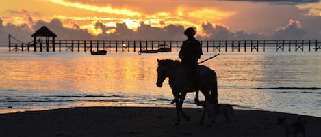 Vlak bij het strand, strandlakens