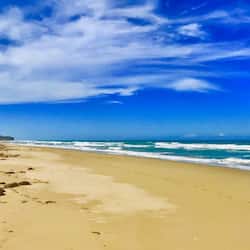 Beach 50 meters in front of hotel