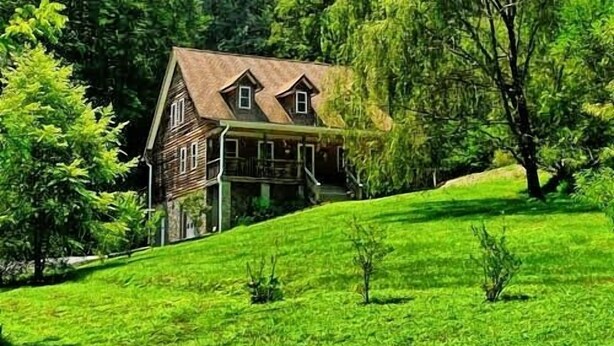 A rustic wooden house with a sloped roof, surrounded by lush green trees and grass on a hillside. - Willow Tree Lodge-Easy access - Secluded - Grill (Bryson City)
