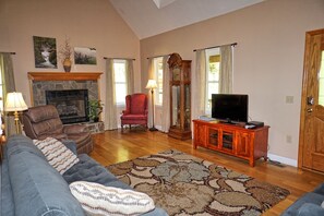 Télévision, cheminée, lecteur de DVD