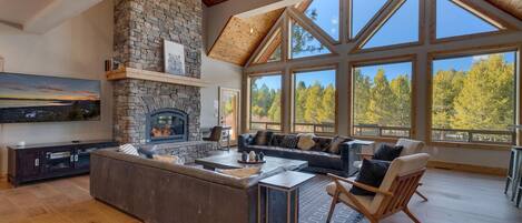 TV, fireplace, video games, stereo