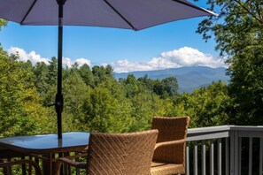 Property grounds - Hot Tub - Views - Gas Firepit (Bryson City)