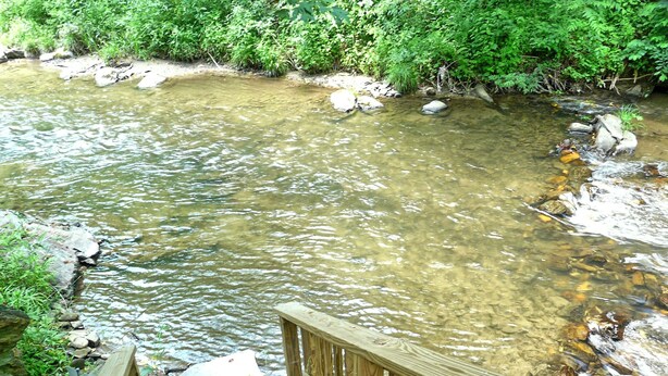 Una terraza de madera que da a un río de aguas cristalinas, rodeado de abundante vegetación.