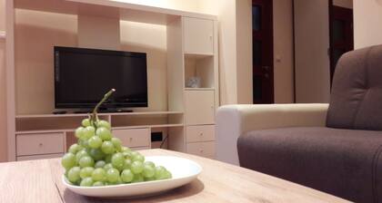 M10 ZP Old Town apartment