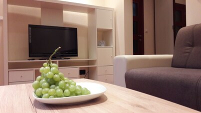 M10 ZP Old Town apartment